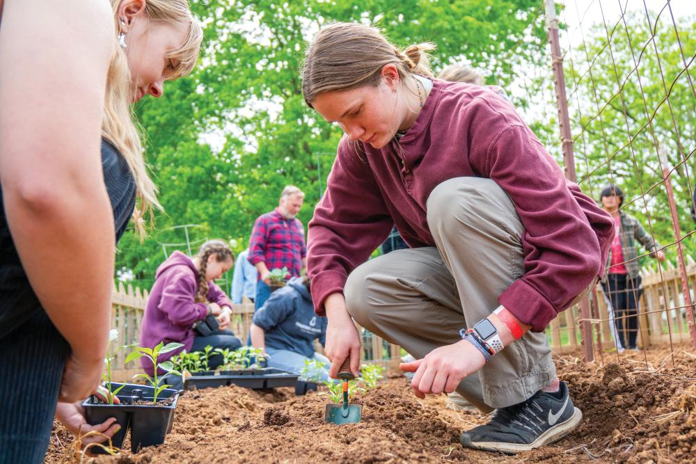 Maryville College student planting