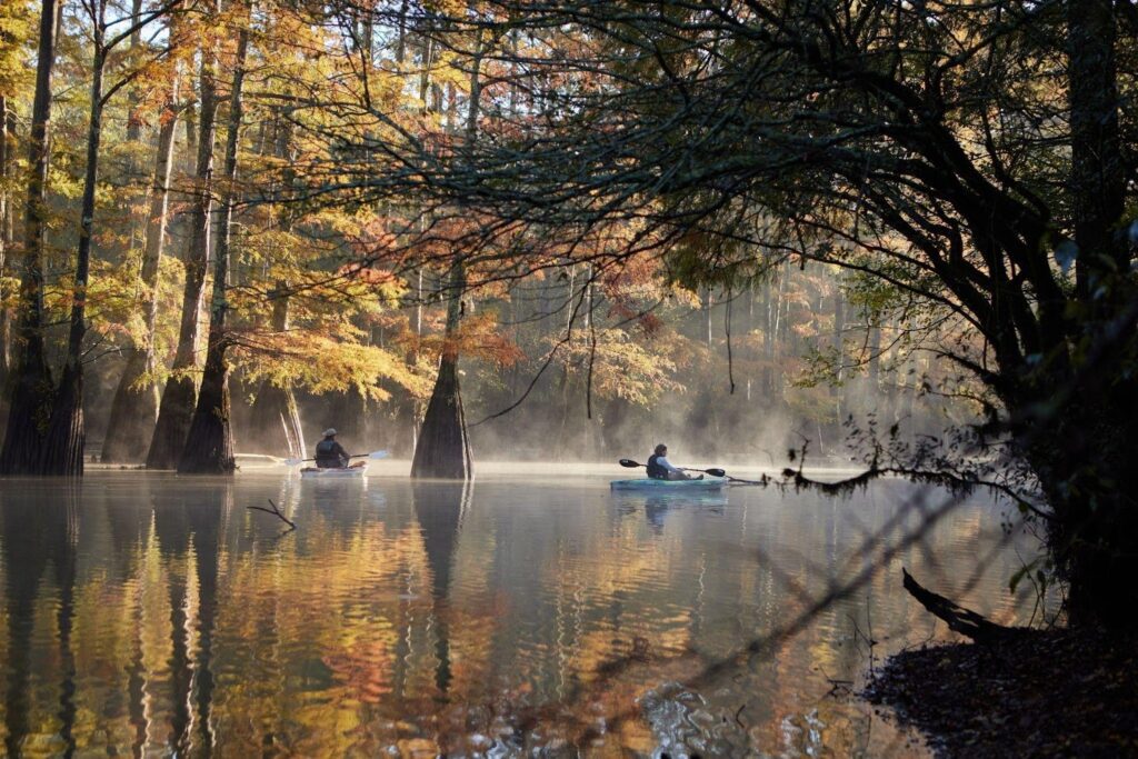 Hatchie Wildlife Refuge in Brownsville, TN