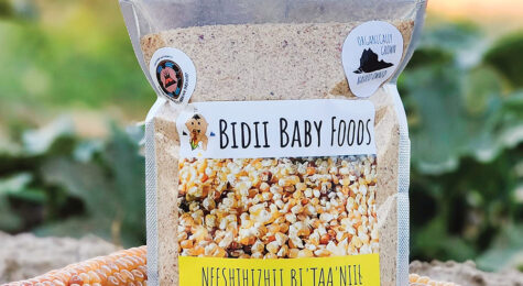 Bidii Baby Foods