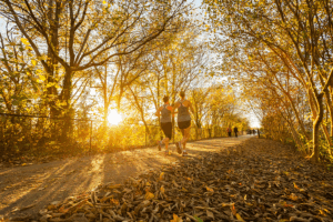 Mary Black Foundation Rail Trail
