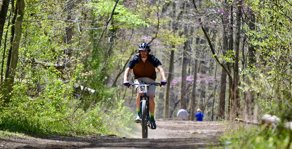 Panther Creek State Park in Morristown, TN