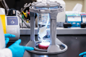 BioFabUSA