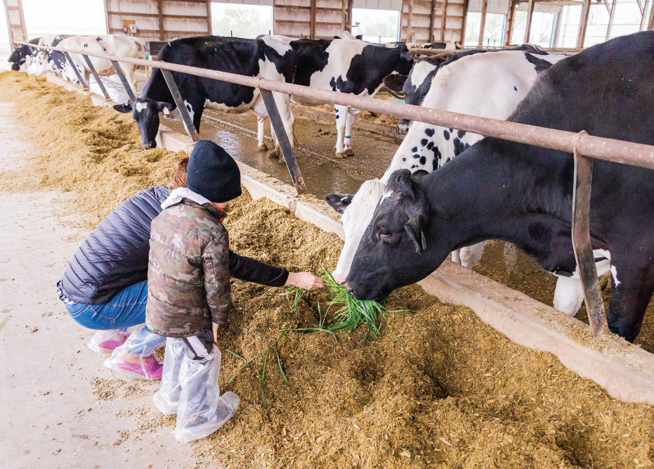New Day Dairy GuestBarn
