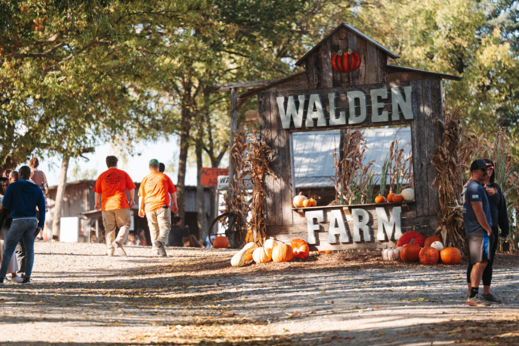 Walden Pumpkin Farm in Smyrna, TN