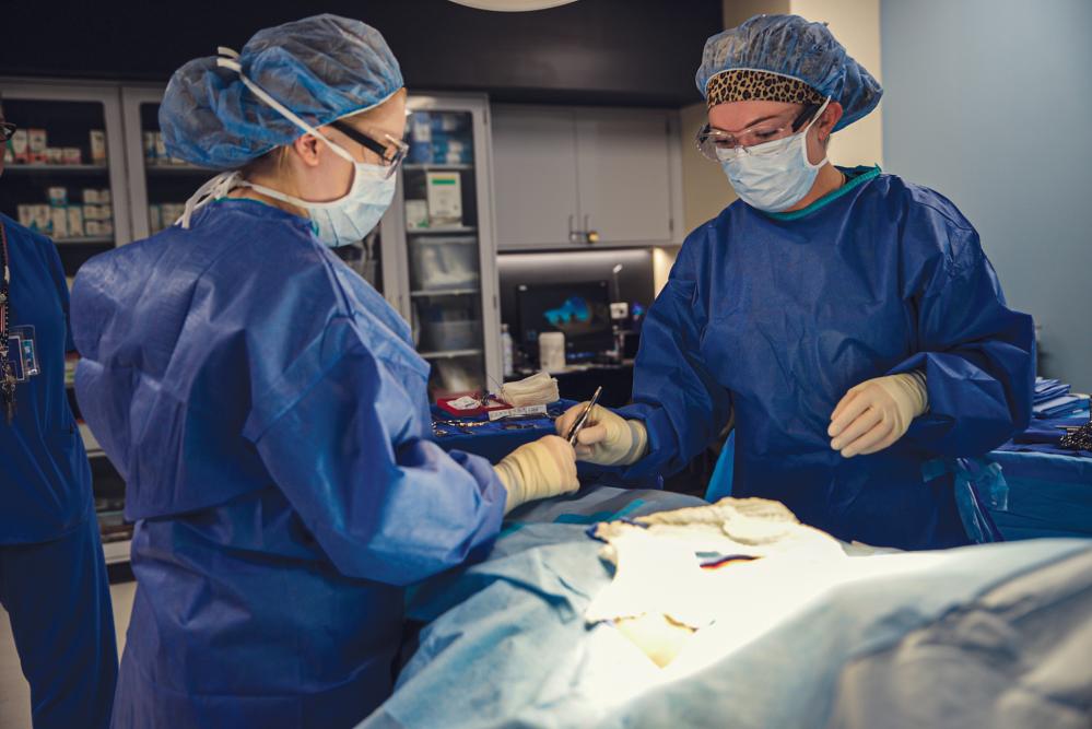 Illinois Central College medical students