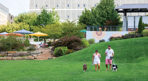 Bailey Park, a 1.6-acre green space in the middle of the Innovation Quarter