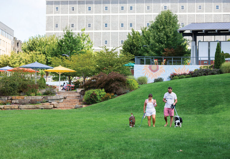 Bailey Park, a 1.6-acre green space in the middle of the Innovation Quarter