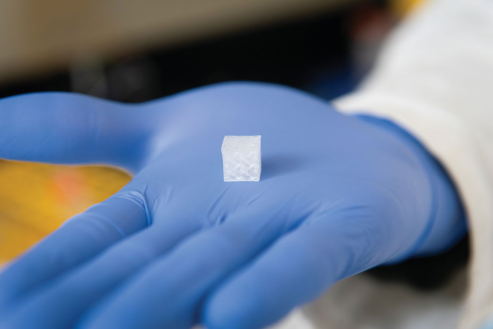 A gyroid-shaped object at the Wake Forest Institute for Regenerative Medicine