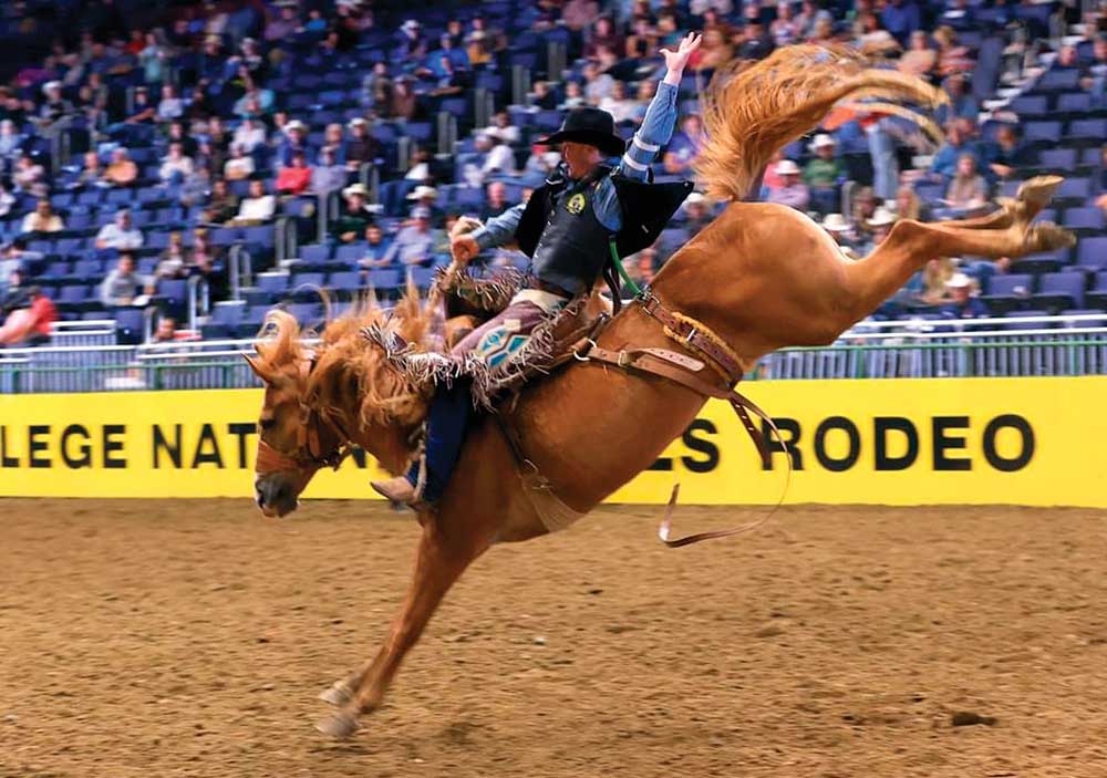 College National Finals Rodeo horse rider