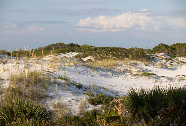 Henderson Beach State Park