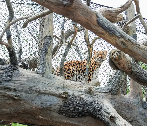 Nashville Zoo