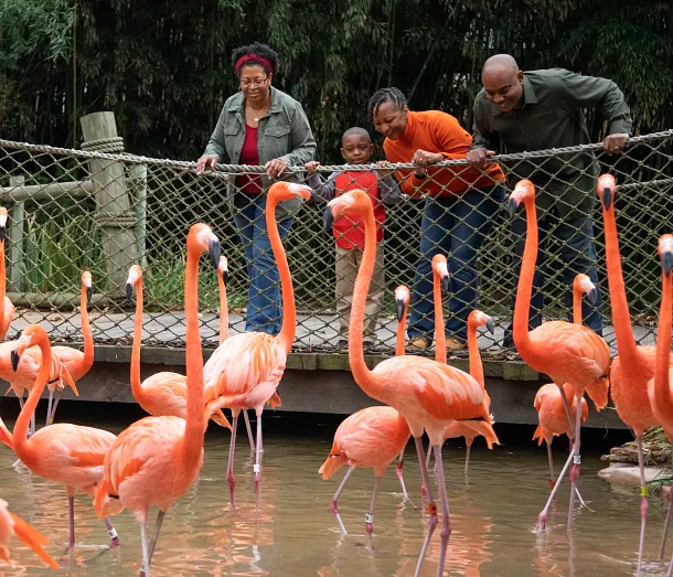 Nashville Zoo 