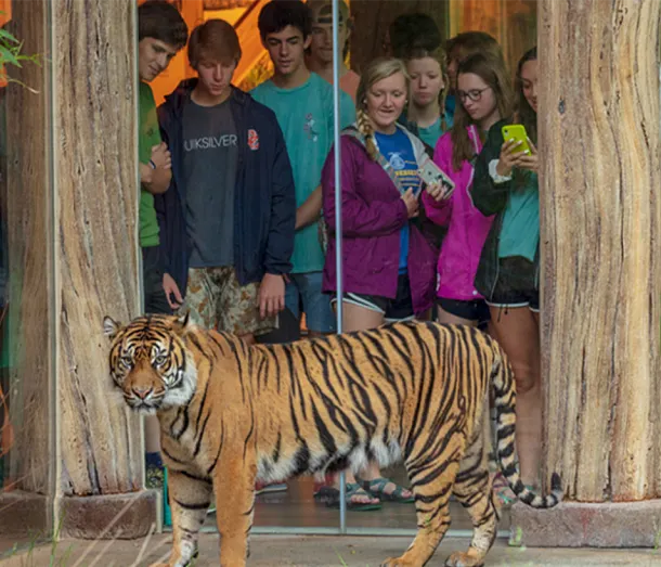Nashville Zoo