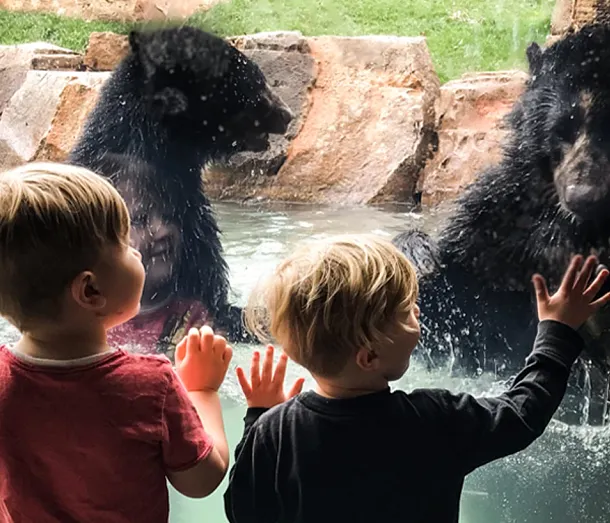 Nashville Zoo