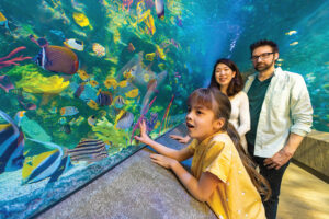 A young girl and her parents look at fish in a tank at the Newport Aquarium in Northern Kentucky.