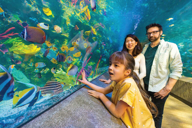 A young girl and her parents look at fish in a tank at the Newport Aquarium in Northern Kentucky.
