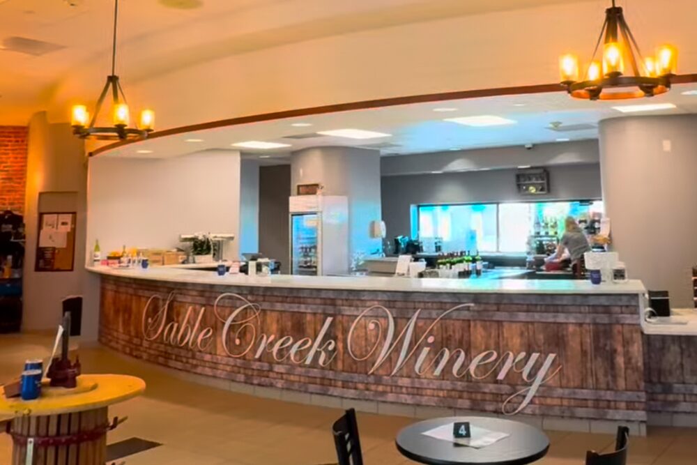 Valentine's Day Travel in Romeoville, IL