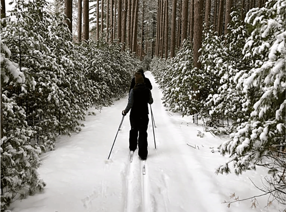 Waushara County