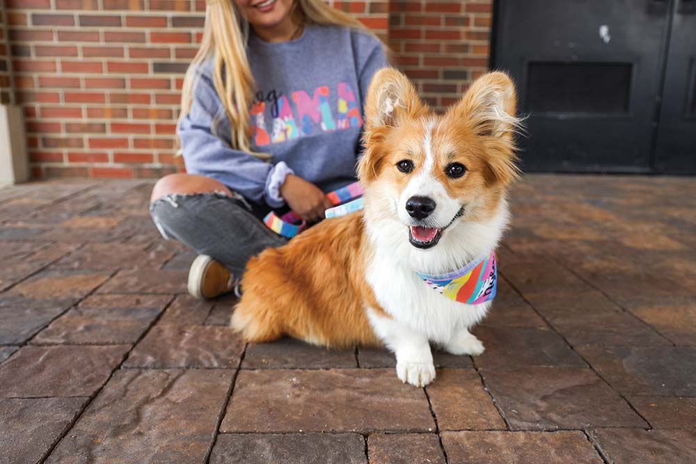 A woman poses for a photo with her Corgi, who is wearing colorful accessories from Duke & Fox in Jonesborough, TN.