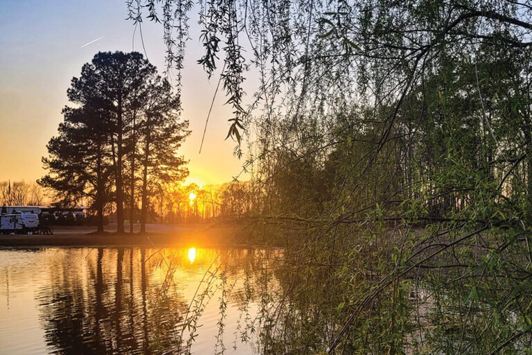 Whispering Oaks RV Resort in Greenville, NC.
