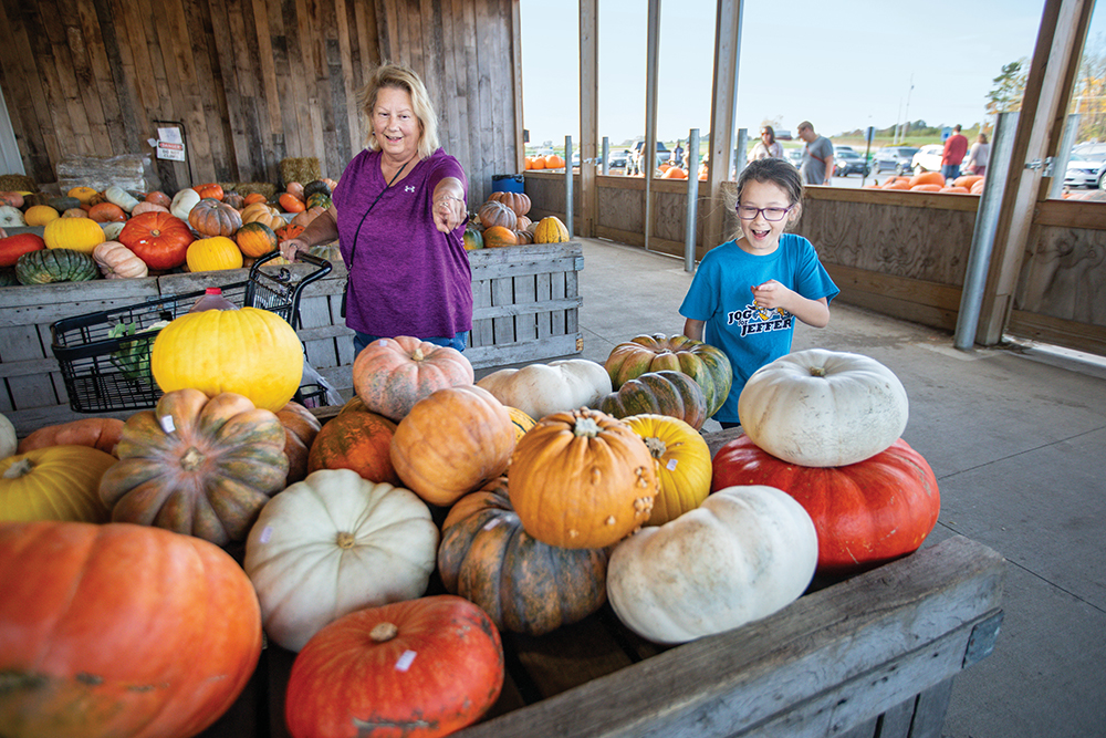 Lili Heberline, 9, shops for pumpkins with her great aunt, JoEllen McKnight, at the Lynd Fruit Farm in Pataskala, OH.