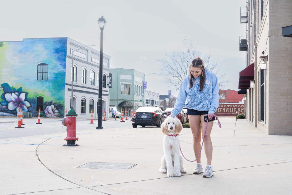 A young woman stands with her dog on a corner in downtown Greenville, NC. A walkable downtown is one of the perks of living in Greenville, NC.