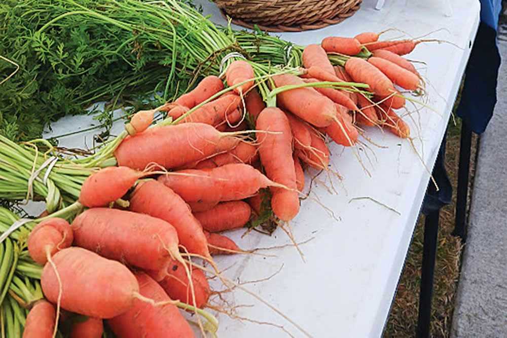Bundles of carrots for sale at Nampa Farmers Market.