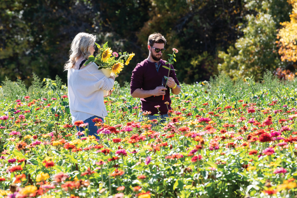 Honeysuckle Hill Farm