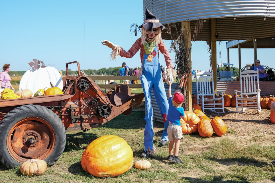 White House Pumpkin Patch in White House, tN