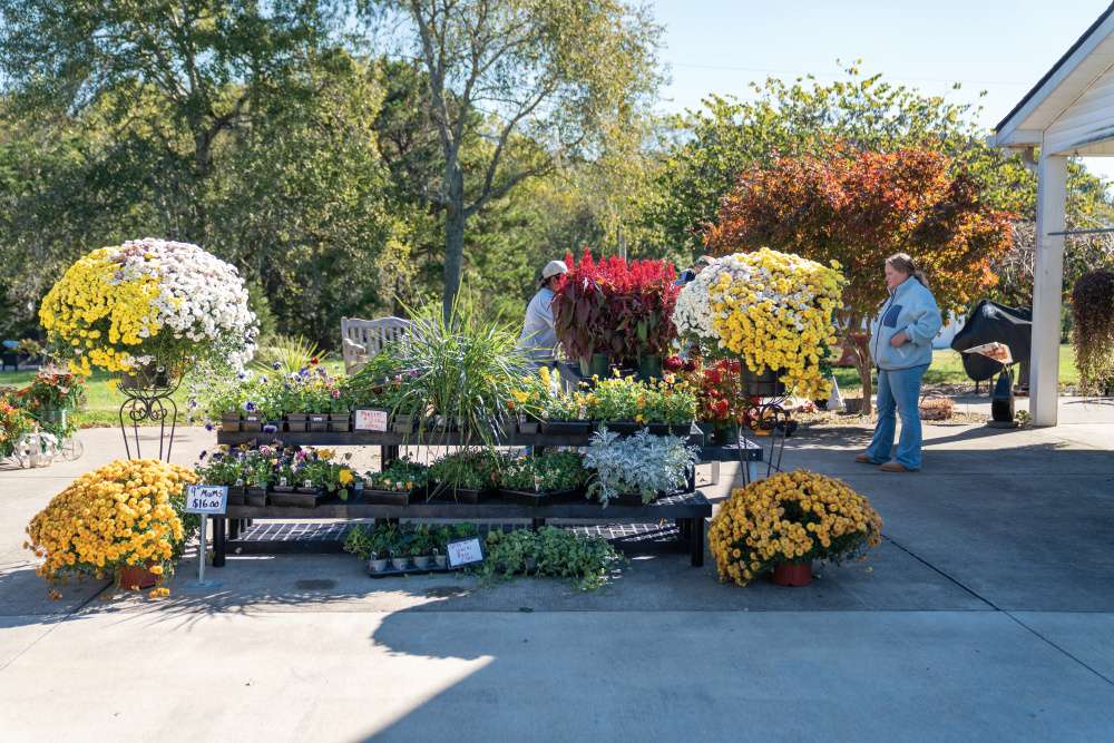 Head's Farm in Cedar Hill