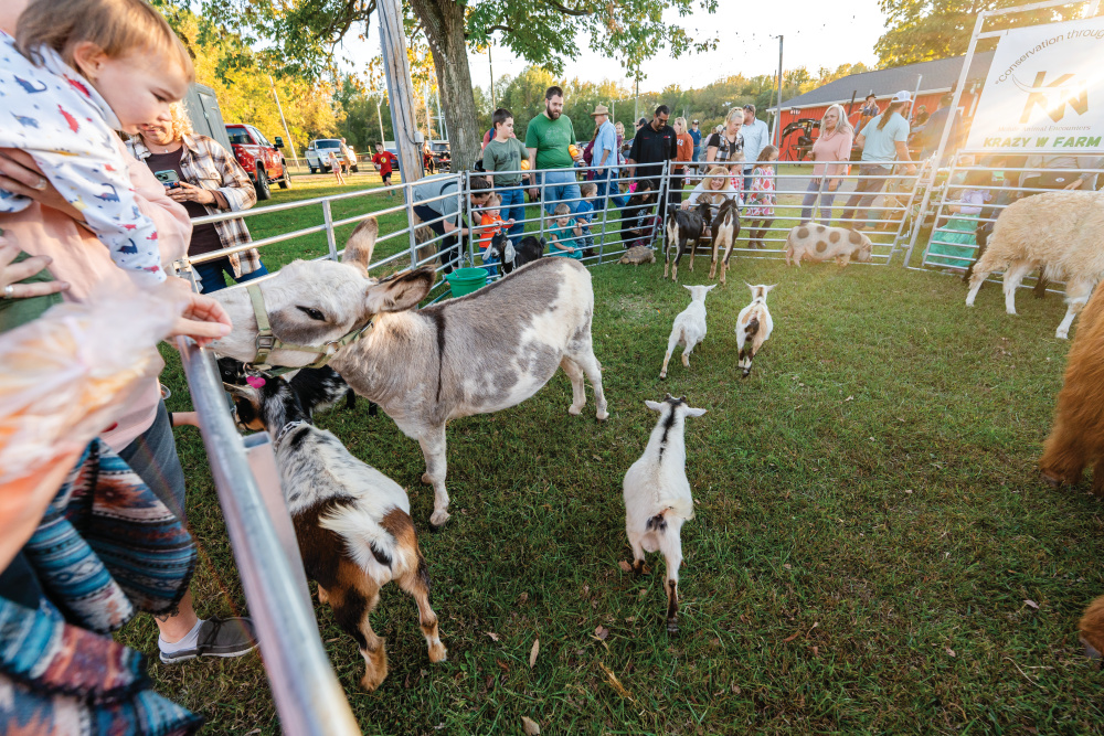 Cedar Hill Farmers Market