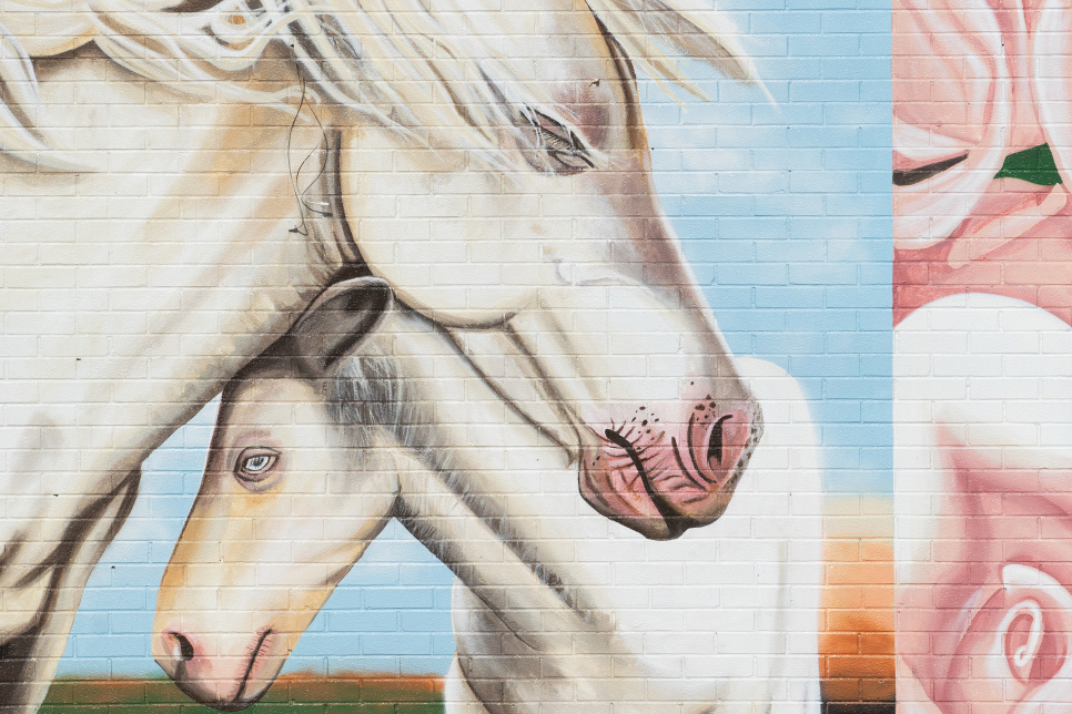 horese mural in downtown Springfield, TN