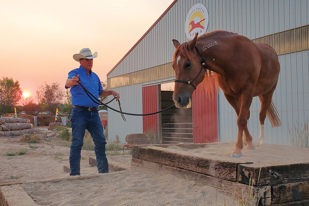 A man works with a horse at Sweet Pepper Ranch near Nampa, ID.