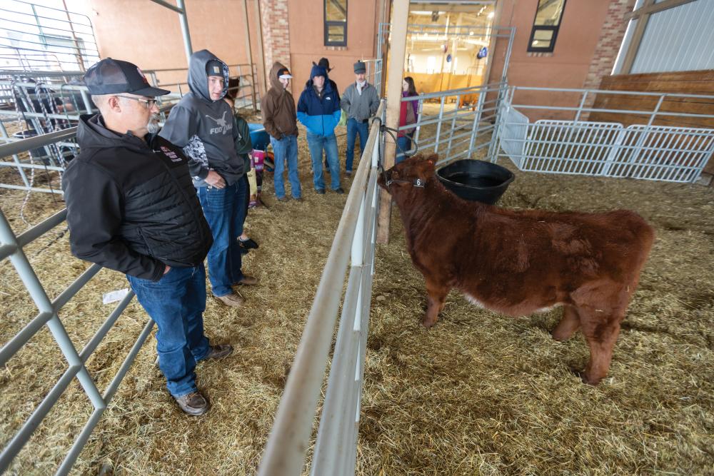 Students get hands-on experience working with cattle at Werner Agriculture Pavillion at Casper College in Casper, WY.