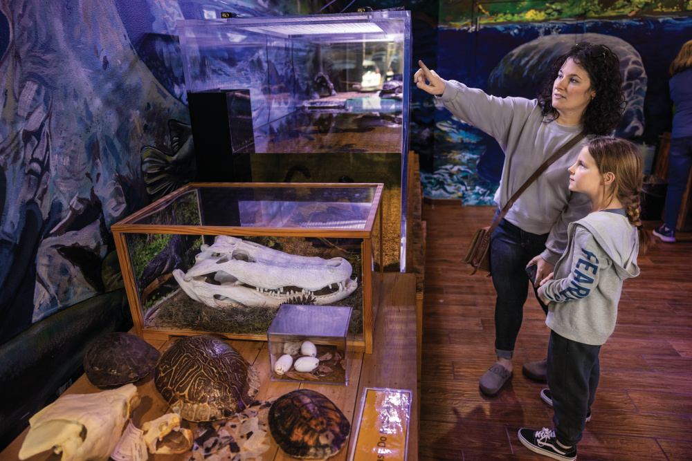 Upgrades at the Lyonia Environmental Center are designed to create more engaging experiences for visitors.