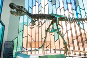 Museum at Prairiefire