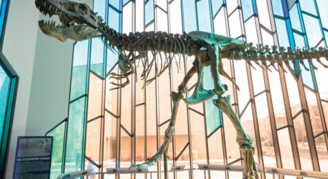 Museum at Prairiefire