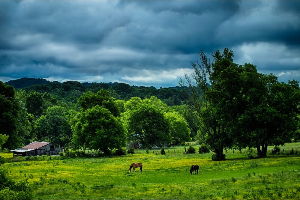 Small farm at summertime with horses grazing in the fild and ominouse clouds overhead close to Nashville, Tennessee Summer 2014
