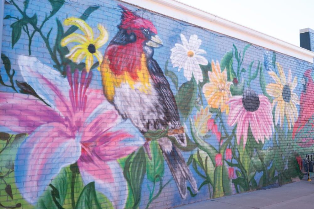Mural by the artist Kipp Davis at Everts Flowers in Ames, Iowa 