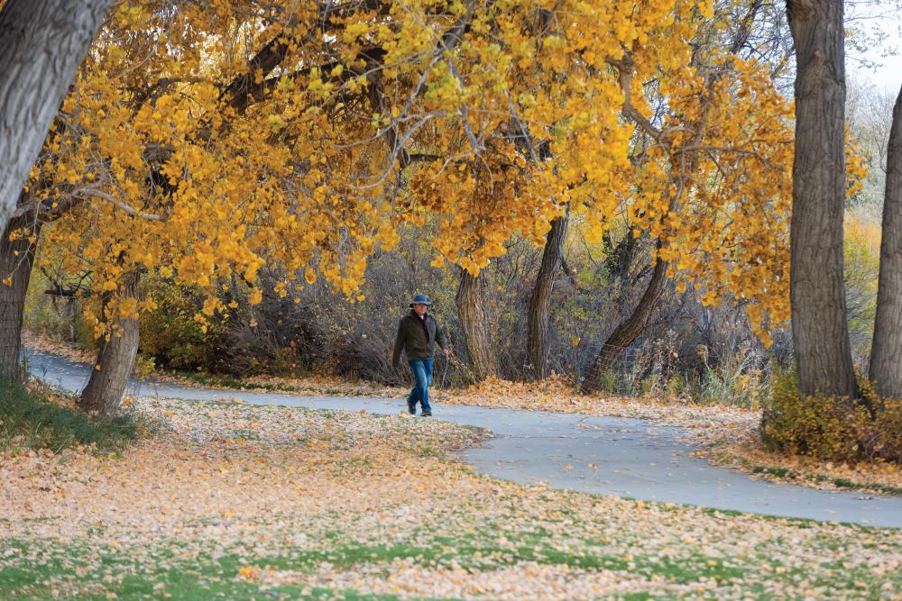 Fall color in Amoco Park along the North Platte River in Casper, Wyoming. ©Journal Communications/Jeff Adkins