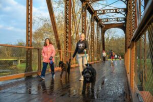 Locals walk their dogs on Cardinal Greenway