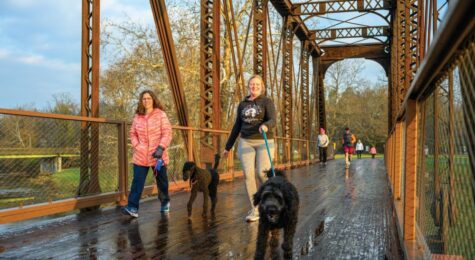 Locals walk their dogs on Cardinal Greenway