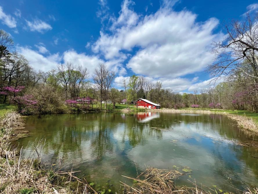 Mary Gray Bird Sanctuary