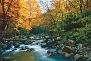 Fall in the Great Smoky Mountains National Park.