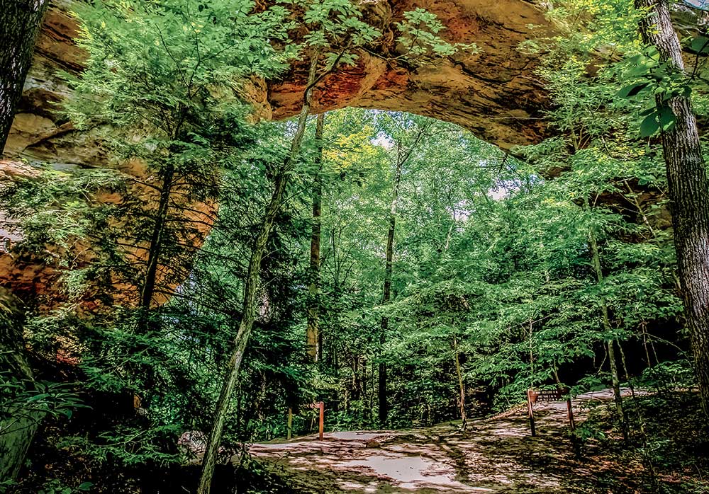 The Twin Arches Trail and Loop Trail have some geological features in Big South Fork, and the Twin Arches are truly the most impressive rock arches in the eastern United States. The North Arch has a clearance of 51 feet, a span of 93 feet and its deck is 62 feet high; South Arch has a clearance of 70 feet, a span of 135 feet and its deck is 103 feet high.