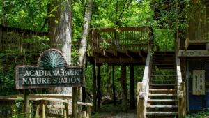 Acadiana Park