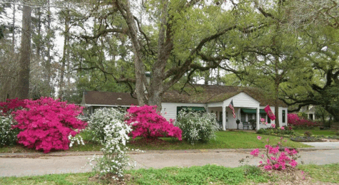 Azalea Trail