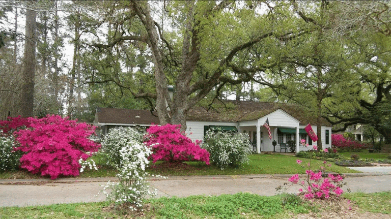 Azalea Trail