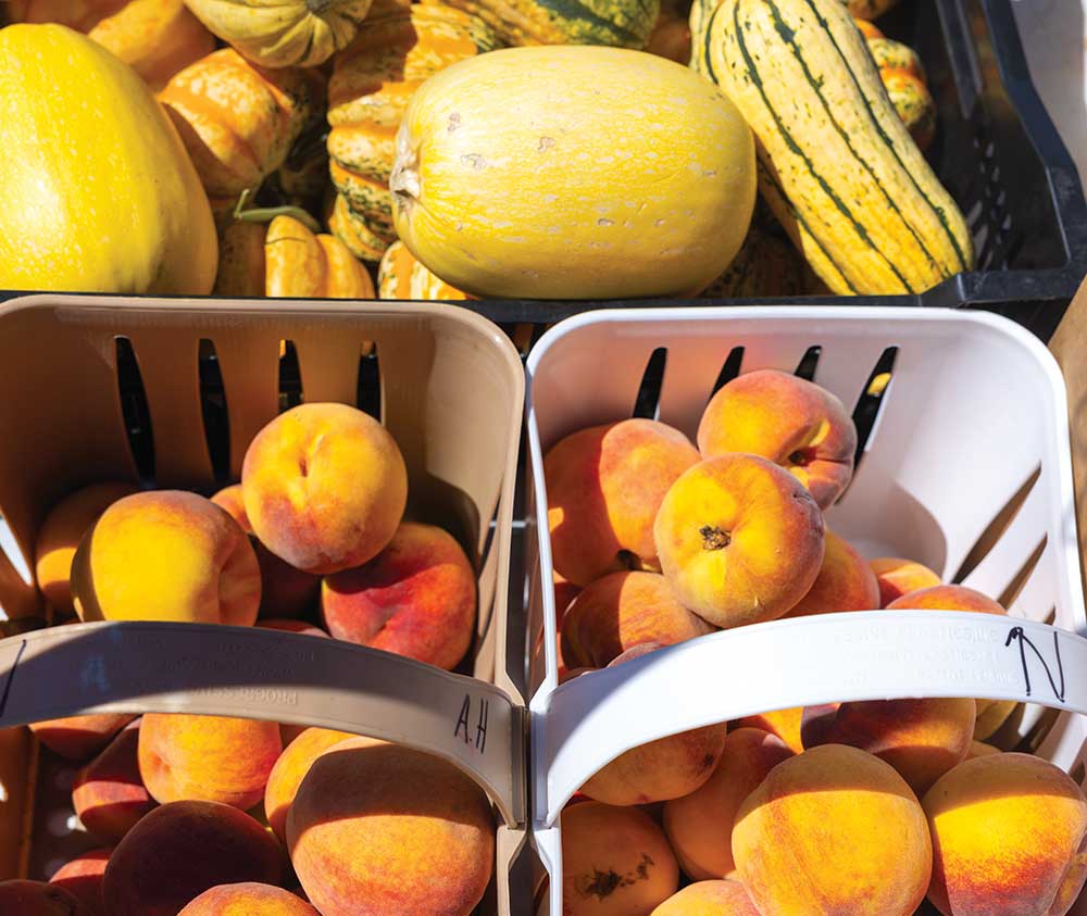 Farmers sell produce along Historic Front Street during the Saturday Smyrna Depot Farmers Market at the in the Depot District of Smyrna, Tennessee.
