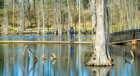 The beautiful boardwalk trails at Sam Houston Jones State Park are a great place to cast a line.